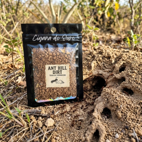 Terra de Formigueiro – Ant Hill Dirt - comprar online