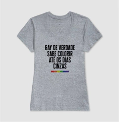 Gay de Verdade Sabe na internet