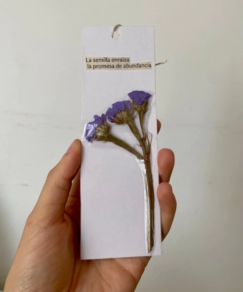 Separadores de libros - tienda en línea