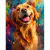 Diamond Painting 65x50cm - PERRO MULTICOLOR en internet