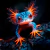 Diamond Painting 30x30cm - AJOLOTE en internet