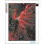 Diamond Painting 40x30cm - PAVO REAL - comprar online