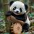 Diamond Painting 20x20cm - PANDA en internet