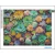 Diamond Painting 50x40cm - SUCULENTAS - comprar online