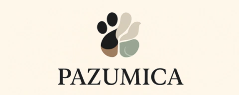 Pazumica Store
