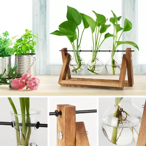 Recipiente de Vidro - Estação de Propagação Hidropônica