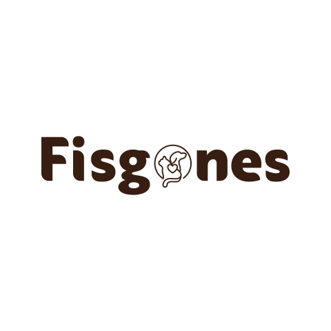Fisgones