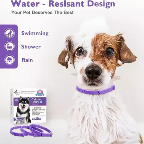 Coleiras Relaxantes para Animais de Estimação, Coleira, Dura 60 Dias, Raça Peque