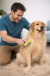 Escova Removedora de Pelos para Cães e Gatos Anti Queda