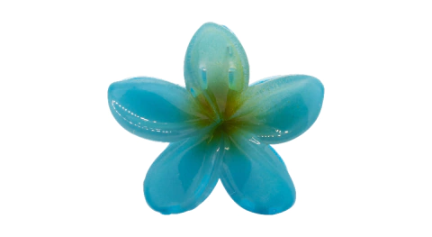 Piranha Flor do Verão na internet