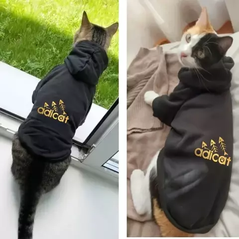 Moda gato roupas legais outono inverno filhote de cachorro gatinho carta impress