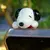hipper snoopy en internet