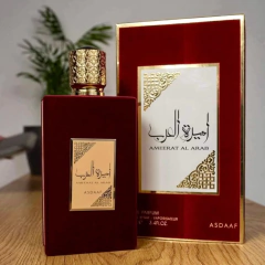 Ameerat Al Arab na internet