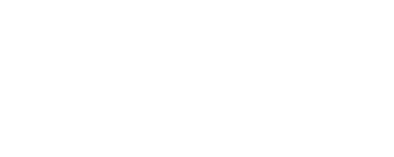 Exploradores Digitales