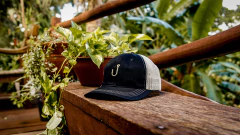 Anzol - Dad hat