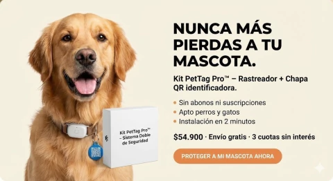 Pet Tag + identificador QR | Encuentra a tu mascota desde tu movil - comprar online
