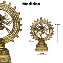 Shiva en internet