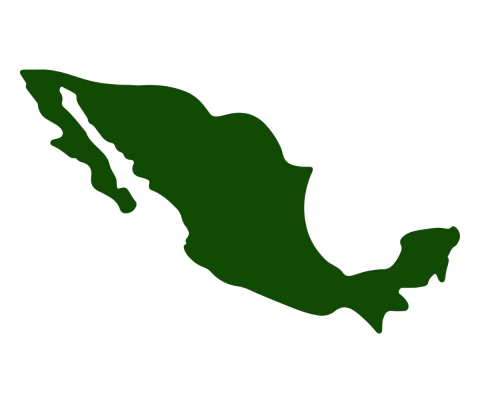 SERVICIOS Y ENVIOS EN TODO MÉXICO