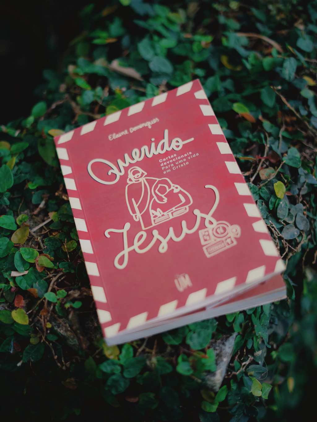 DEVOCIONAL QUERIDO JESUS