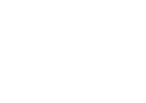 Zarek