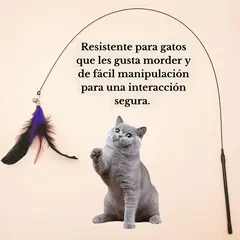 Varita con pluma - comprar en línea