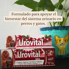 Urovital Jalea, tubo de 30 g