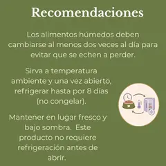 Healthy love gato adulto sabor salmón – 100g - tienda en línea