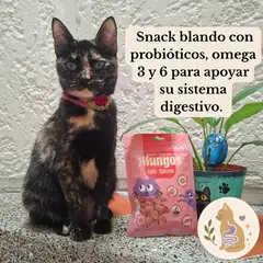 Galletas salmón 40gr