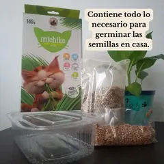 Kit Pancitas Sensibles - Tienda Mateflor