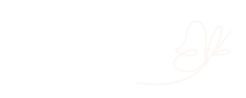 Paperfy