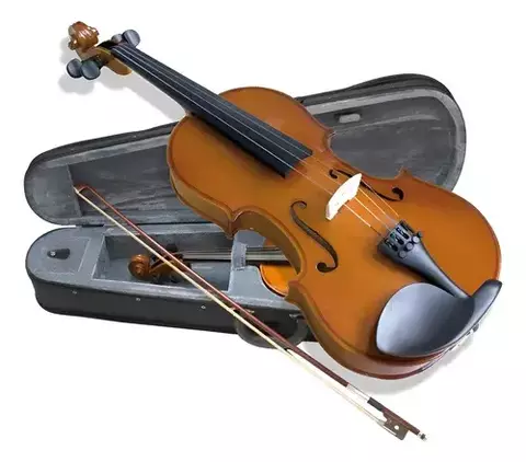 Violin VALENCIA VEB100/B 4/4
