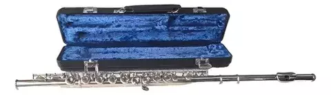 Flauta DADDARIO Woodwinds RPADGPIC01