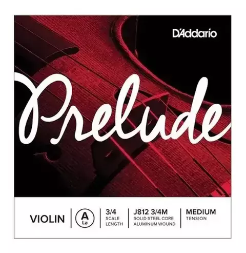 Violin DADDARIO Planet Waves 9493