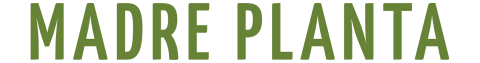 Madre Planta