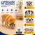Comedouro Elevado Decorado com Tigela Inox | Tutoys Pets - comprar online