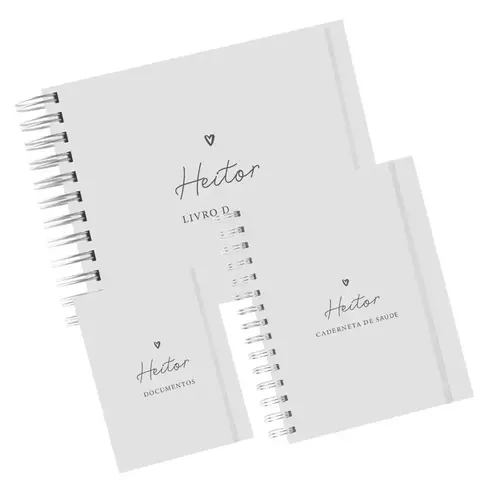 Combo Laços de Amor - Livro do Bebê + Caderneta de Saúde + Porta documentos - Clean cinza - comprar online