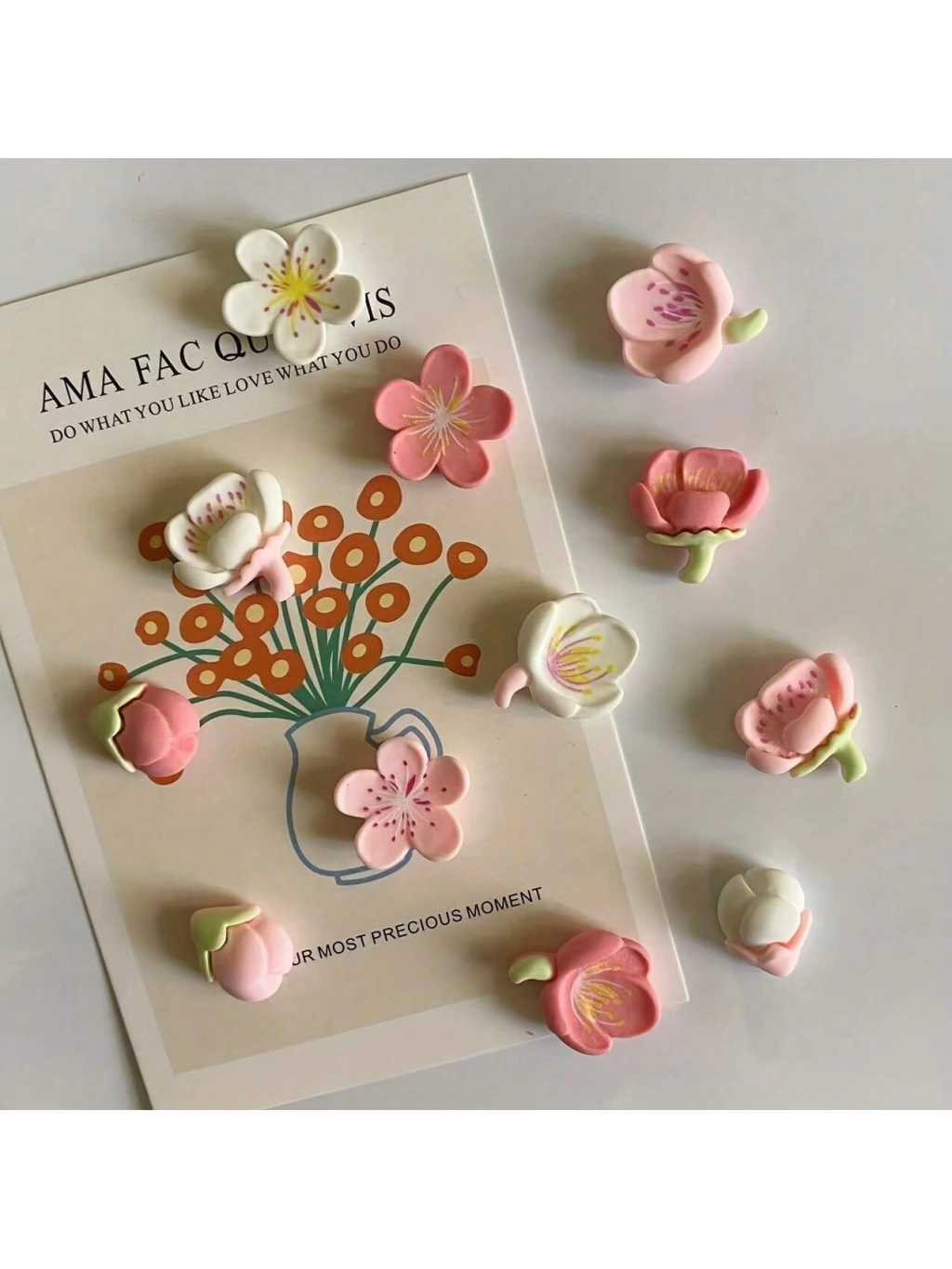 12 piezas de Imanes de refrigerador - entrega inmediata