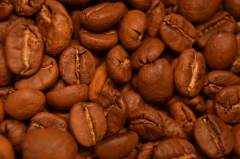 Café Limuara Honey en internet