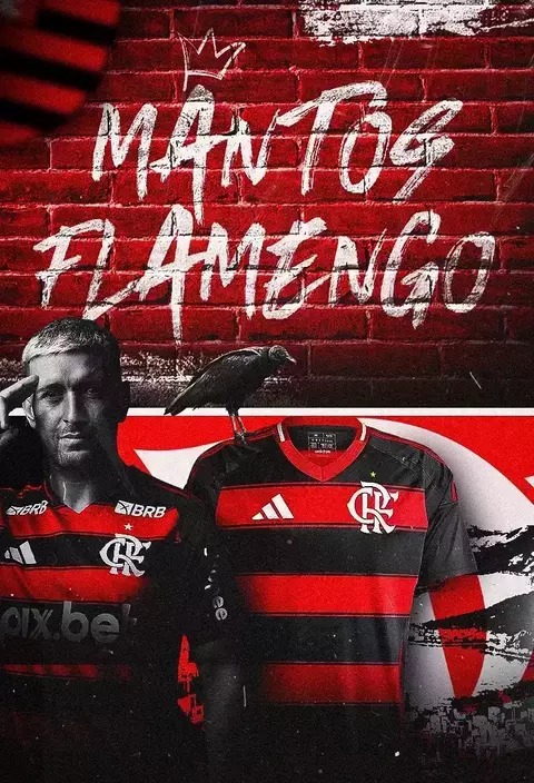 Banner da categoria Flamengo