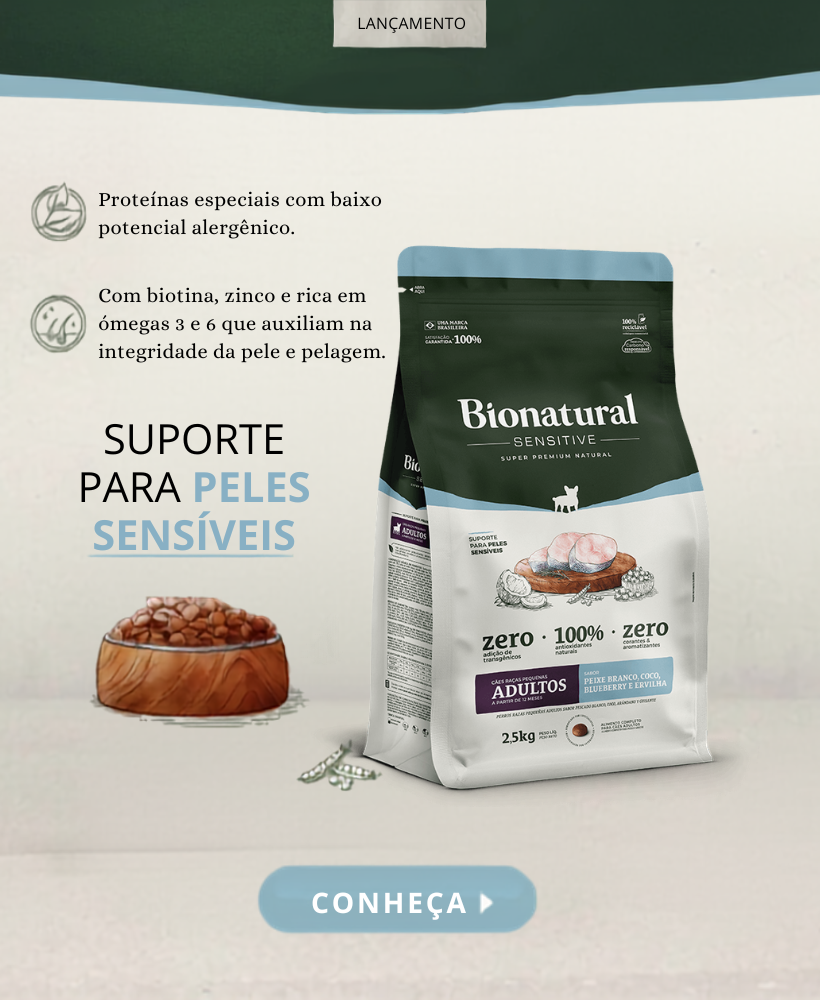 Carrossel