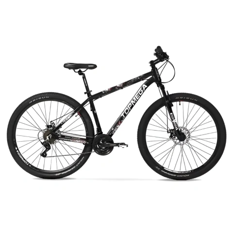 BICICLETA REGAL R29 - comprar online