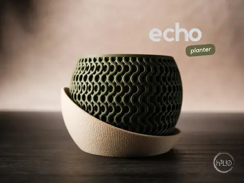 Maceta Echo - p1040568
