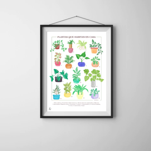 Print Lámina Botánica "Plantas que habitan en casa" (A4 + Marco) - comprar en línea
