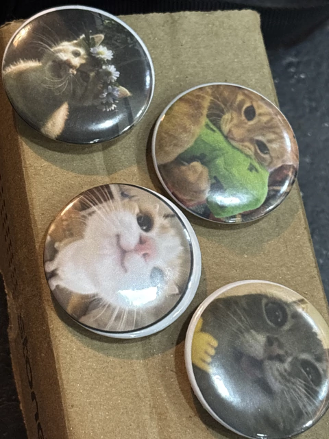Cat Bottons - comprar online