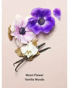Mist Corporal Midnight Bloom - comprar en línea