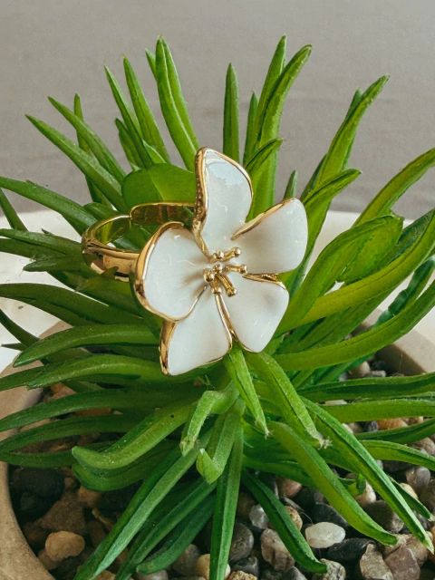 Anillo Flor Aura Blanca