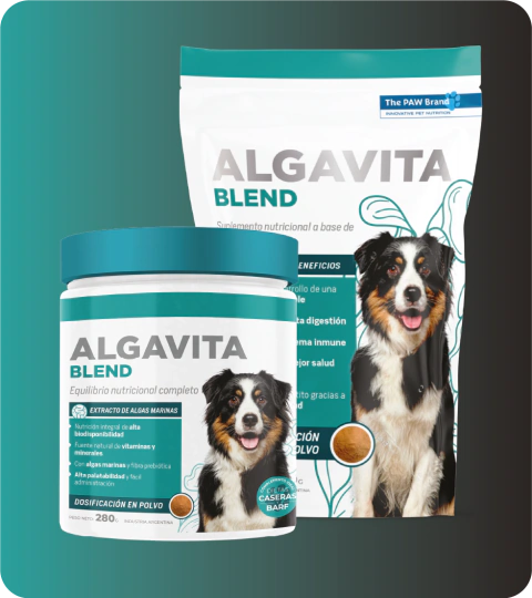 ALGAVITA