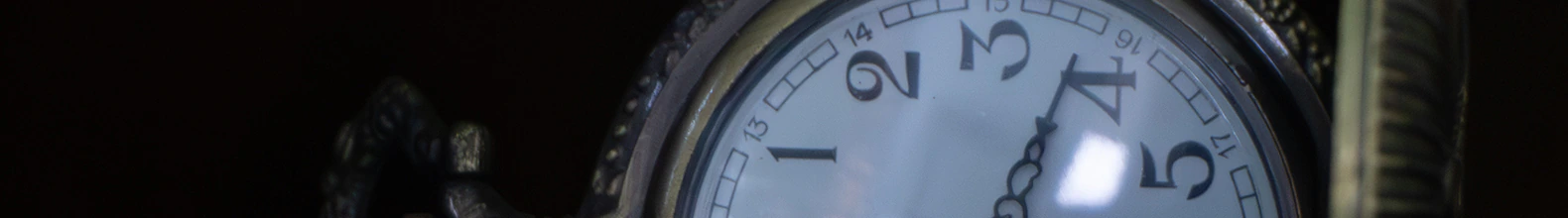 Banner de la categoría Antigüedades y Rarezas