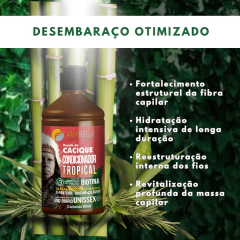CONDICIONADOR TROPICAL RECEITA DO CACIQUE 500ML ARYBELA - comprar online