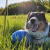 Imagen de Boomer Ball Large Pelota Juguete Perro Grande